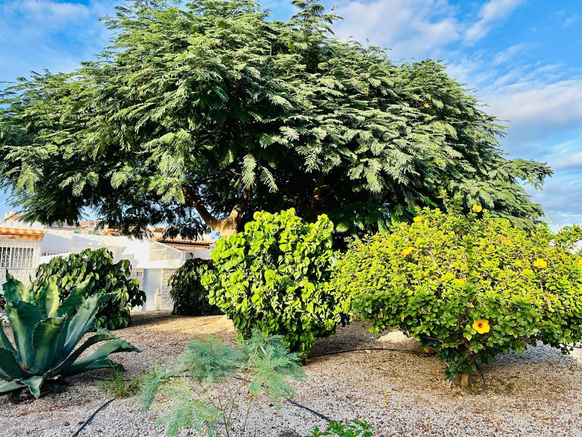 Casa Una Bungalow Delux Arona  Exteriér fotografie
